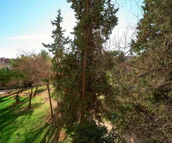 Апартаменты Comfort