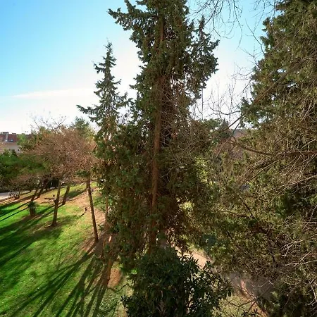Apartman Center Park